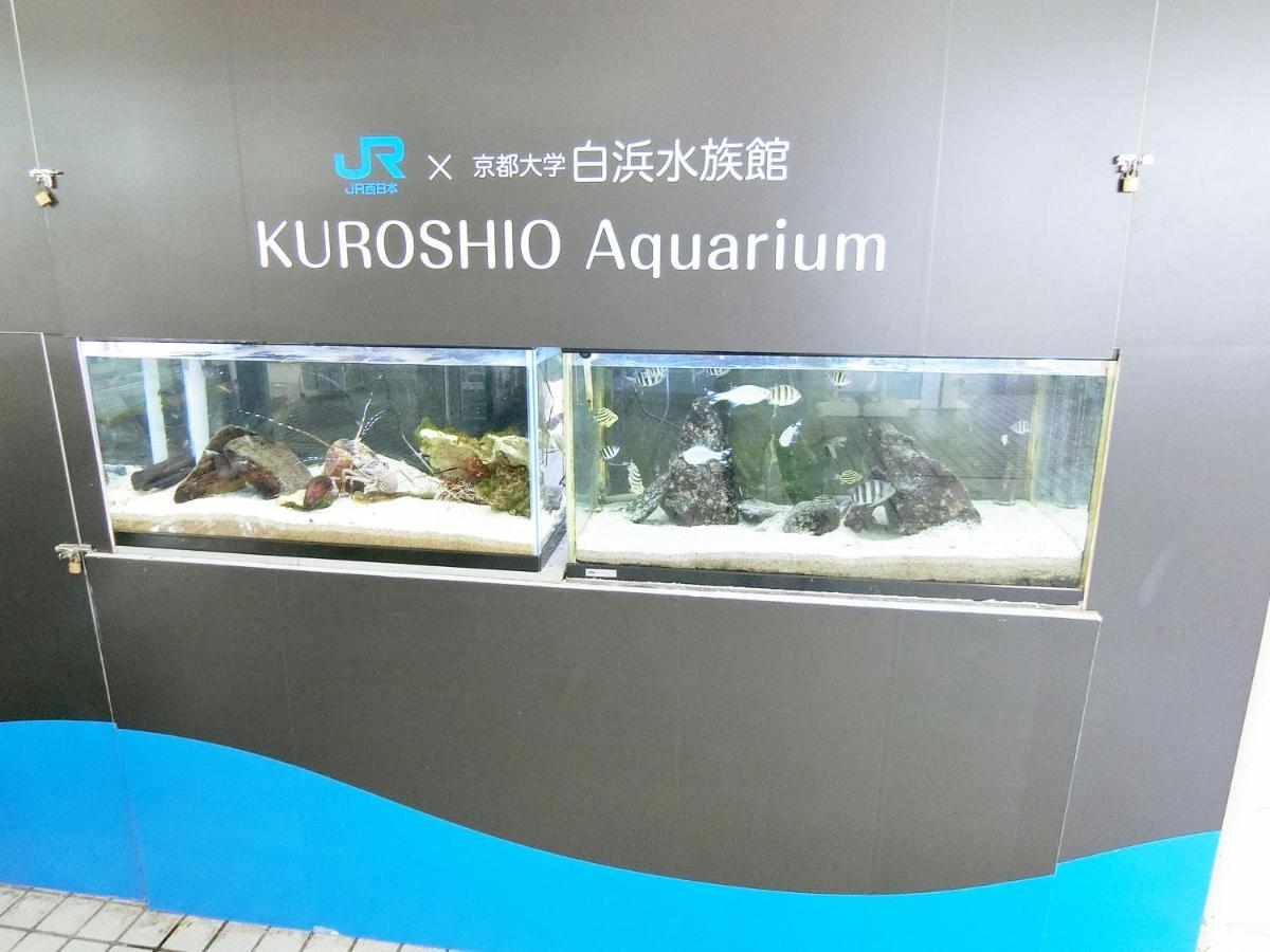 民宿ｉｎｎ しらはま　駅の宿 白浜町 エクステリア 写真